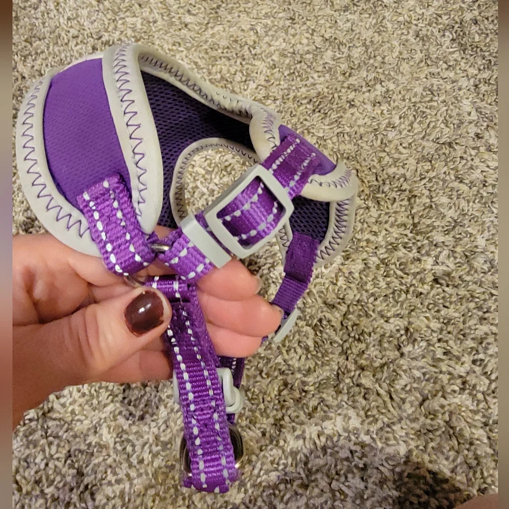 Purple and Gray Small Dog Harness